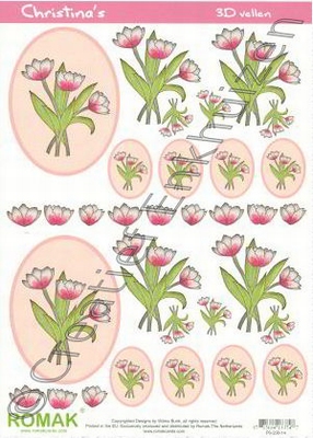 A4 Knipvel Romak Christina's 14 Roze-witte Tulpen