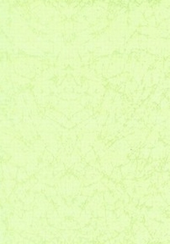 Vaessen Geurkarton 270304 groen marmer