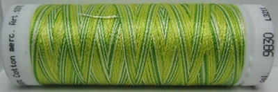 Mettler borduurgaren Silk-Finish Multi 9830