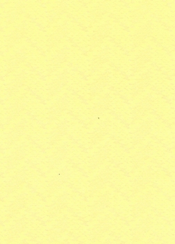 Vaessen Geurkarton 315006 zigzag geel