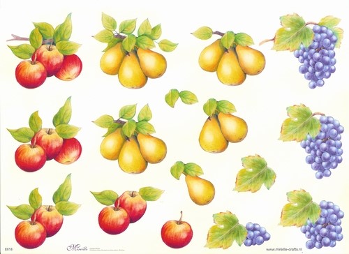 Knipvel A4 Mireille E618 Fruit