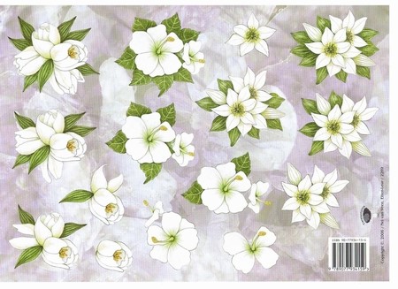 A4 Knipvel Nel van Veen 2269 Witte bloemen