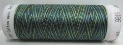 Mettler borduurgaren Silk-Finish Multi 9815