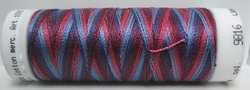 Mettler borduurgaren Silk-Finish Multi 9816