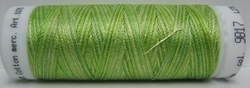 Mettler borduurgaren Silk-Finish Multi 9817