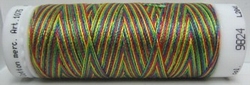 Mettler borduurgaren Silk-Finish Multi 9824