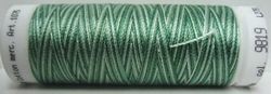 Mettler borduurgaren Silk-Finish Multi 9819