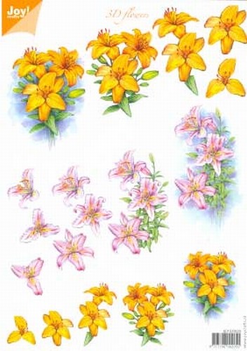 A4 Knipvel Joy 3D Flowers 6010/0023 Oranje lelies