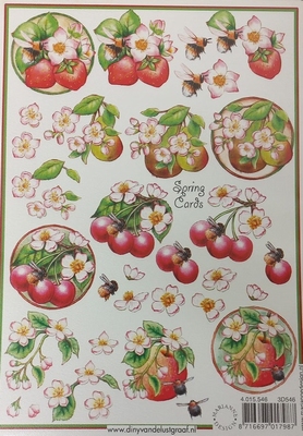 MD A5 Knipvel Diny's Spring Cards 3D 546 Fruit