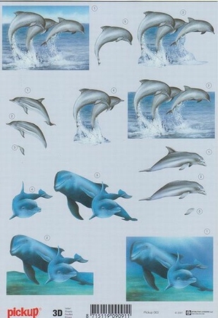 3D Knipvel Pick UP Pu063 Dieren/dolfijnen
