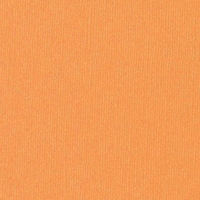 Bazix paper 4201 Dutch orange
