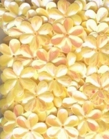 Bloemen pailletten PK002 geel