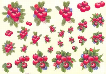 A4 Knipvel Mireille X317 Wintergroen met appeltjes & besjes