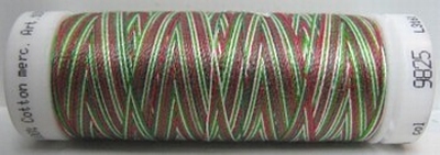 Mettler borduurgaren Silk-Finish Multi 9825