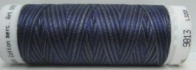 Mettler borduurgaren Silk-Finish Multi 9813