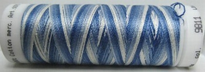 Mettler borduurgaren Silk-Finish Multi 9811