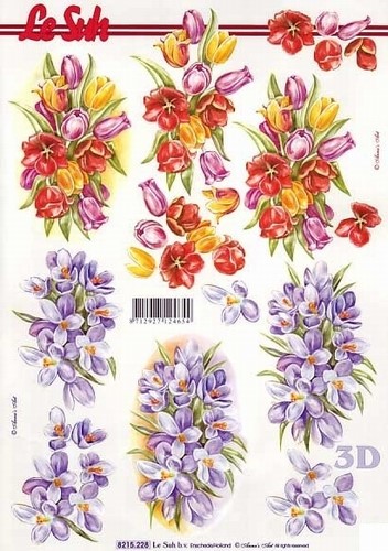 A4 Knipvel Le Suh 8215228 Voorjaarsbloemen tulp & krokus