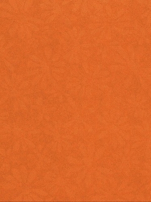Embossed glanzend A4 karton madelief motief 3467 oranje
