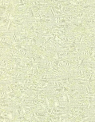 Embossed glanzend A4 karton madelief motief 3459 linde groen