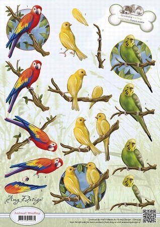 3D Knipvel Amy Design CD10539 Animal Medley Tropical Parrots