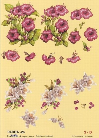 A4 Knipvel Parra 26 Roze hibiscus en lelie