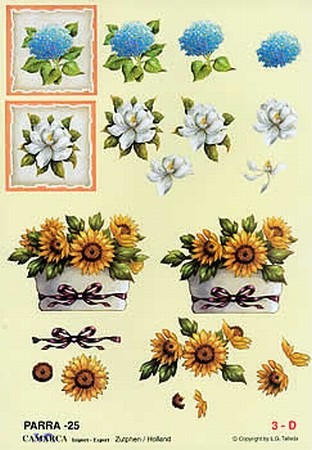 A4 Knipvel Parra 25 Bloemen in vierkant & zonnebloemen