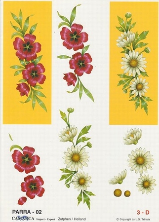 A4 Knipvel Parra 02 Rode bloem en margriet in geel kader