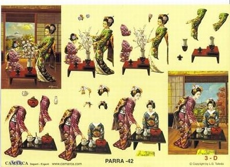 A4 Knipvel Parra 42 Geisha's Thea time