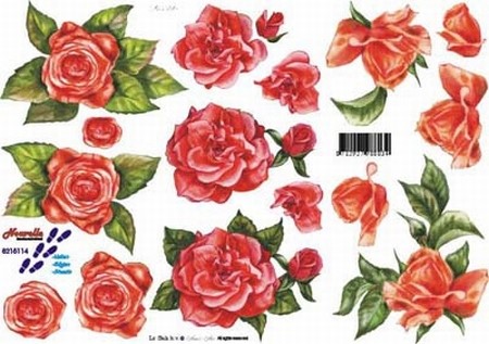 A4 Knipvel Le Suh 8215114 Rode rozen