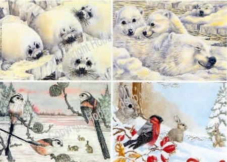 Hobbypost A5 Knipvel Vogels in de winter/ijsbeer & zeehondje