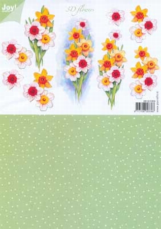 A4 Knipvel Joy 3D Flowers 6010/1009 Duo Narcissen