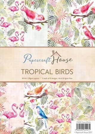 Wild Roses Studio Paper Pack PH008 Stripes and Tropical Bird