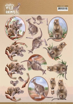 3D Knipvel Amy Wild Animals Outback CD11483 Kangaroo/koala