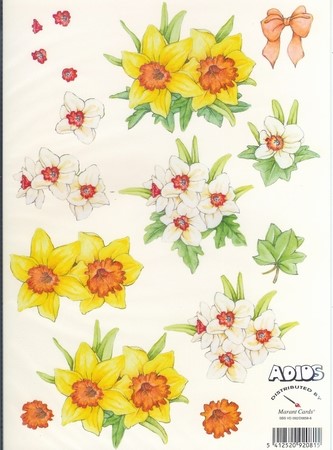 Adios knipvel 092 bloemen Narcissen