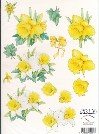Adios knipvel 091 bloemen Narcissen
