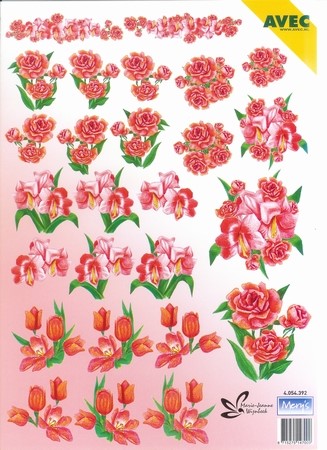 A4 Knipvel Avec 4.054.392 Merry's Tripple Rode tulpen ea