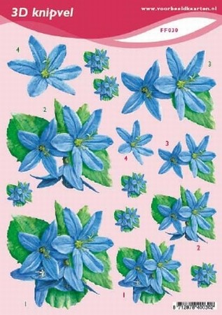 3D Knipvel A5 Voorbeeldkaarten 030 Bloemen blauw