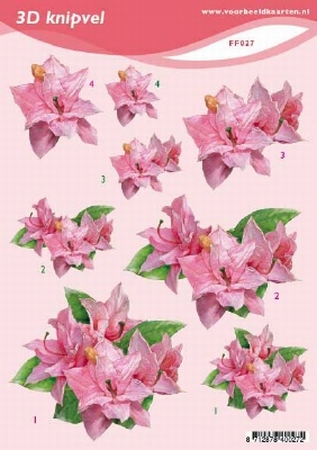 3D Knipvel A5 Voorbeeldkaarten 027 Bloemen roze