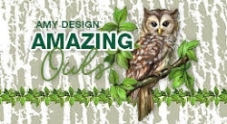 Collectie 2020 Amazing Owls