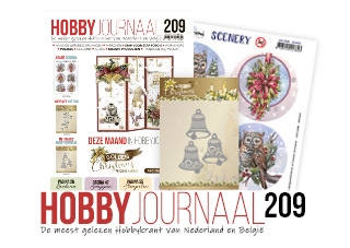 Hobbyjournaal 209